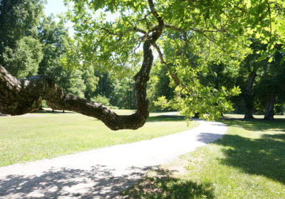 Kuvasi Träskändan maisemakalenteriin 2027?