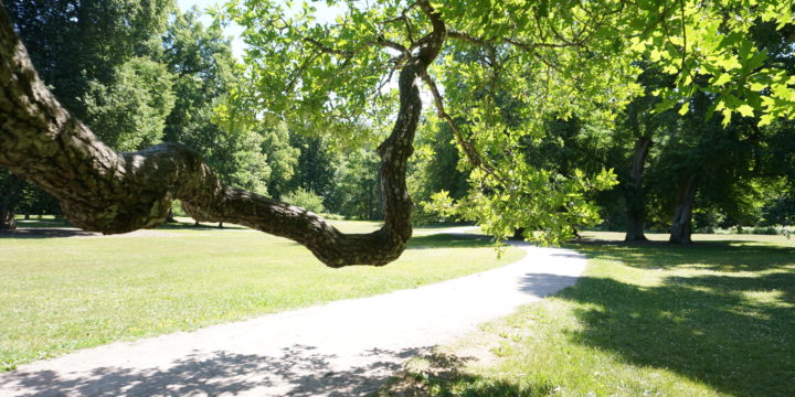 Kuvasi Träskändan maisemakalenteriin 2027?